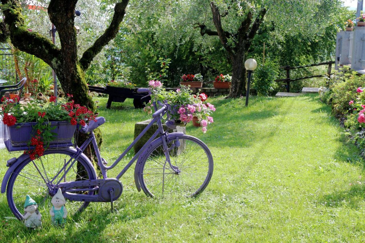 Appartamenti L'Olivo Bagnone Bagian luar foto